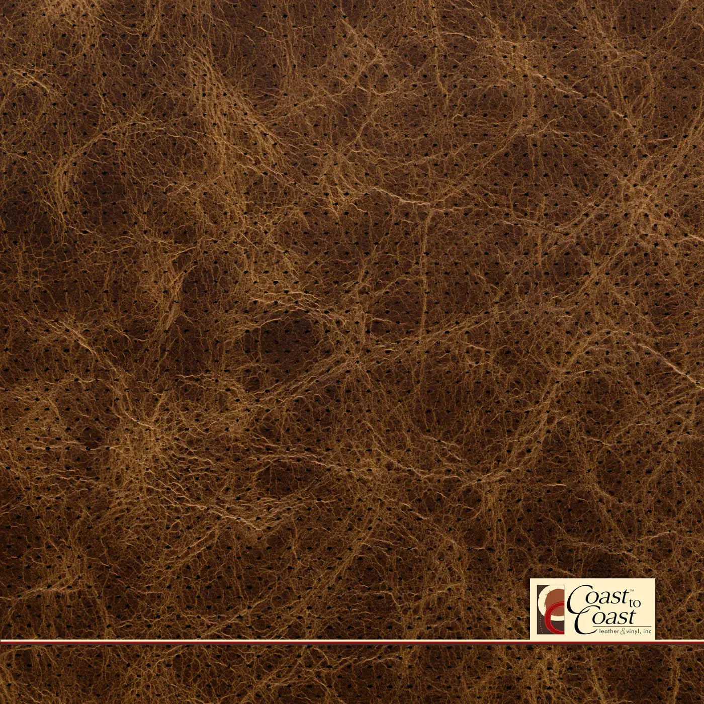 Pinecone Full Hide / Gm Mirco Perf (1/16In) Leather